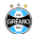 Team - Gremio Porto Alegre