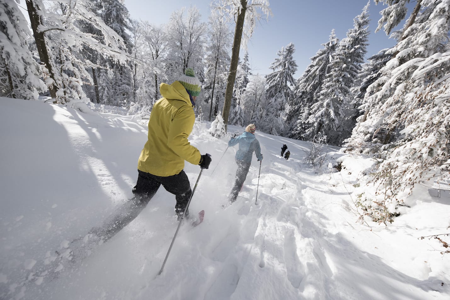 Schneeschuhwandern im Mühlviertel