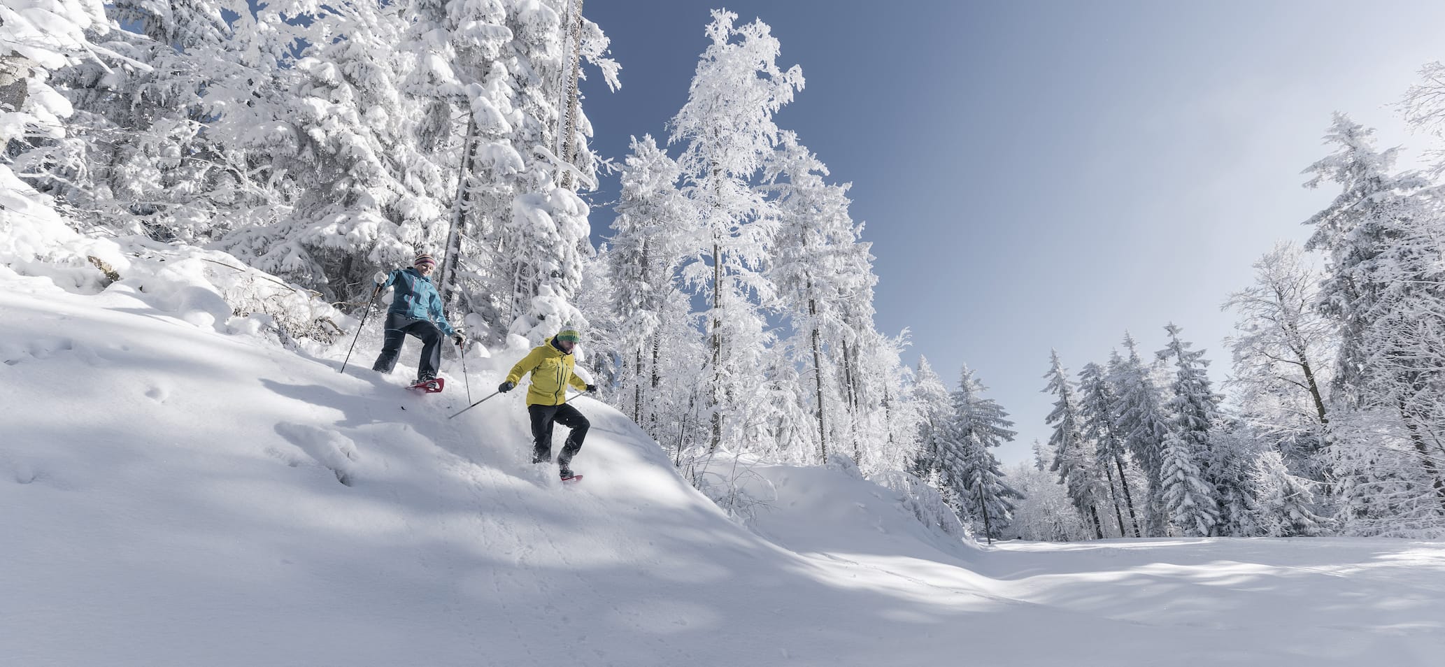 Schneeschuhwandern im Mühlviertel