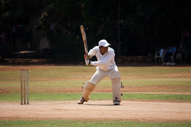 Cricket / Foto: Pixabay